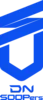 DNS队徽