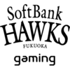 SHG队徽