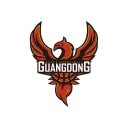 东莞新彤盛队徽