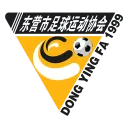 东营队队徽