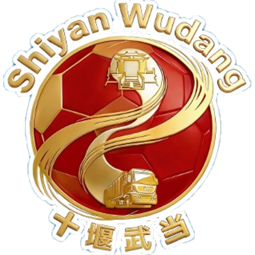 十堰武当队