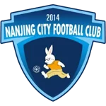 南京城市队徽