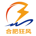 合肥狂风队徽