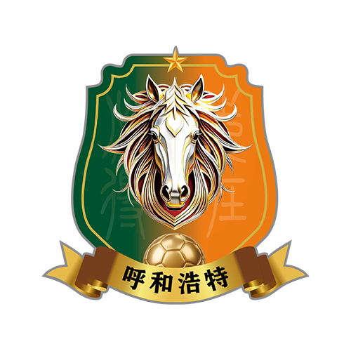 呼和浩特队