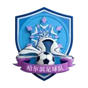 哈尔滨队徽