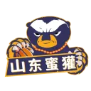 山东蜜獾队徽