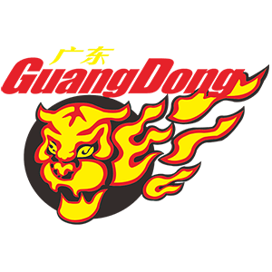 广东东阳光