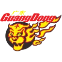 广东东阳光队徽