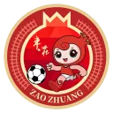 枣庄丰源轮胎队队徽