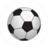 班加罗尔体育会队徽