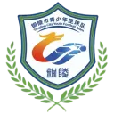 铜陵队徽