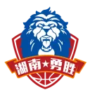长沙勇胜队徽