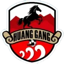 黄冈祥云队队徽