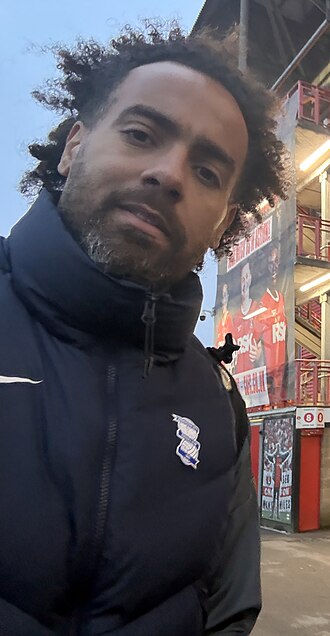 汤姆·哈德尔斯通（Tom Huddlestone）照片