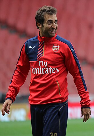 马蒂厄·弗拉米尼（Mathieu Flamini）照片