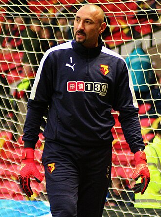 欧雷尔霍·戈梅斯（Heurelho Gomes）照片
