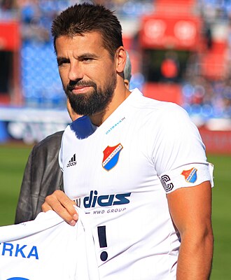 米兰·巴罗斯（Milan Baros）照片