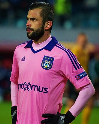 史蒂文·德福（Steven Defour）照片