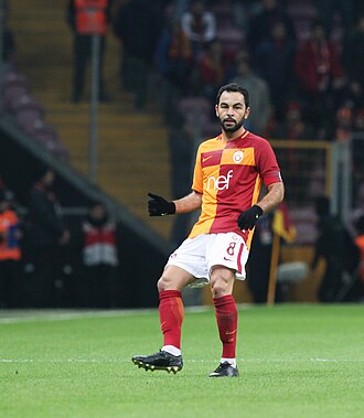 塞尔丘克·伊南（Selcuk Inan）照片