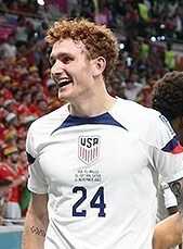 乔什·萨金特（Josh Sargent）照片