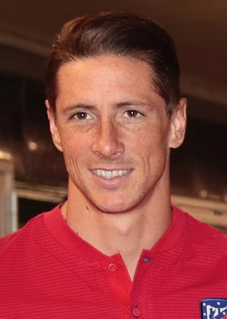 费尔南多·托雷斯（Fernando Torres）照片